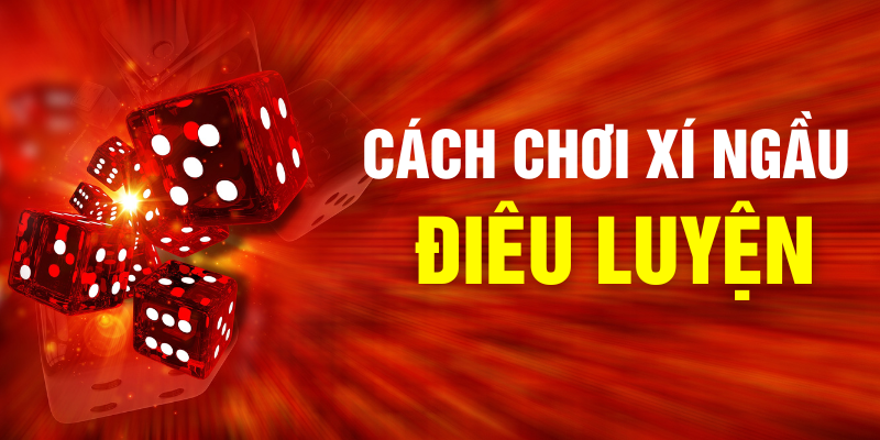 cách chơi xí ngầu